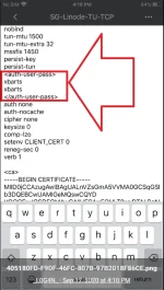 Capture.webp
