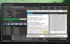 F1.webp
