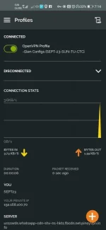 Screenshot_20200923_191421_net.openvpn.openvpn.webp