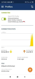 Screenshot_2020-09-25-08-47-11-337_net.openvpn.openvpn.webp