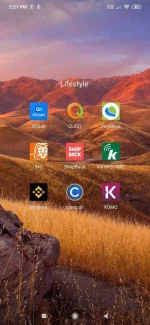 Screenshot_2020-09-25-14-21-09-744_com.miui.home.webp