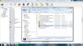 SIMS3.webp