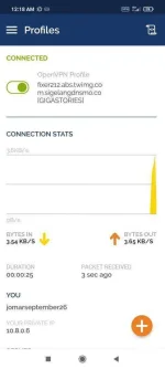 Screenshot_2020-09-27-00-18-22-535_net.openvpn.openvpn.webp