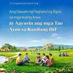 Ang Gawain ng Paghatol ng Diyos sa mga Huling Araw ay Aayusin ang mga Tao Ayon sa Kanilang Uri.webp