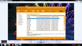 globe 1.webp