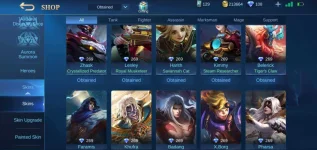 Screenshot_20200929-230207_Mobile Legends Bang Bang.webp