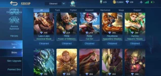 Screenshot_20200929-230202_Mobile Legends Bang Bang.webp