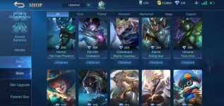 Screenshot_20200929-230156_Mobile Legends Bang Bang.webp