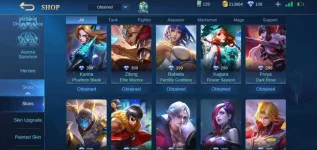 Screenshot_20200929-230150_Mobile Legends Bang Bang.webp