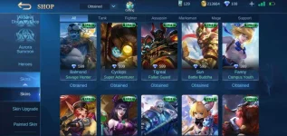 Screenshot_20200929-230146_Mobile Legends Bang Bang.webp