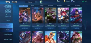 Screenshot_20200929-230137_Mobile Legends Bang Bang.webp