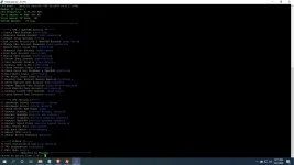 wangzki 2.webp