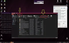 3.webp