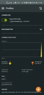 Screenshot_20201005_133807_net.openvpn.openvpn.webp
