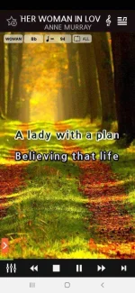 Screenshot_20201006-200545_Karaoke.webp