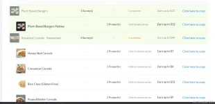 Screenshot 2020-10-08 171706.webp