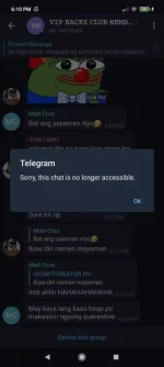Screenshot_2020-10-08-18-10-41-159_org.telegram.messenger.webp