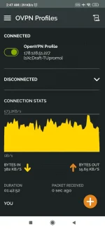 Screenshot_2019-09-04-02-47-38-473_net.openvpn.openvpn.webp
