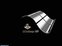 3952_Silver_&amp.webp