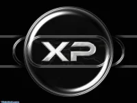 3956_XP_Black.webp