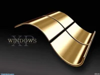 4623_Gold_Look.webp