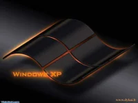 4625_XP_Orange_Neons.webp