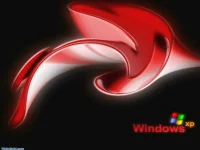 5482_XP_Red.webp