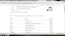 virus.webp