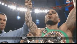 cotto.webp