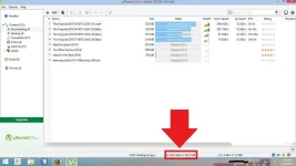 usingProxifier.webp