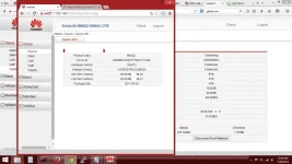 di stable.webp