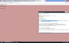 3.webp