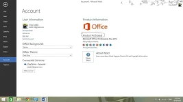 activated win office13proplus.webp activated win office13proplus.webp