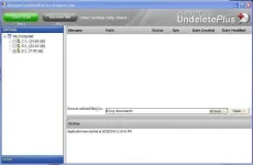 1.webp