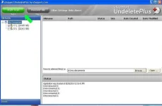 3.webp