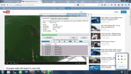 free.webp