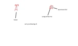 2.webp