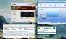 1.webp