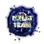 team ninja.webp