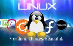linux.webp