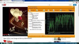 bug pala.webp