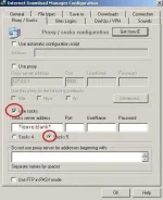 idm 6 proxy chain.webp idm 6 proxy chain.webp