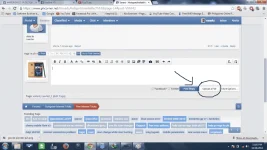 Untitled.webp