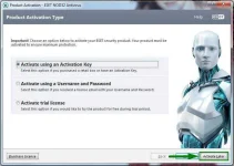 5.webp