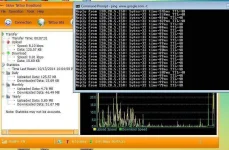 ping.webp