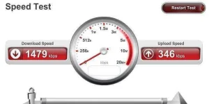 ping2.webp