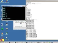untitled.webp