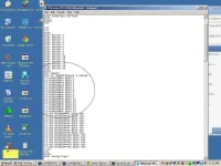 untitled.webp