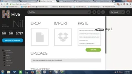 hive 2.webp