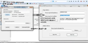 2.webp